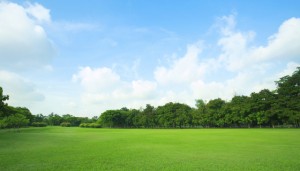 green field with blue sky land insurance quote
