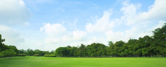 green field with blue sky land insurance quote